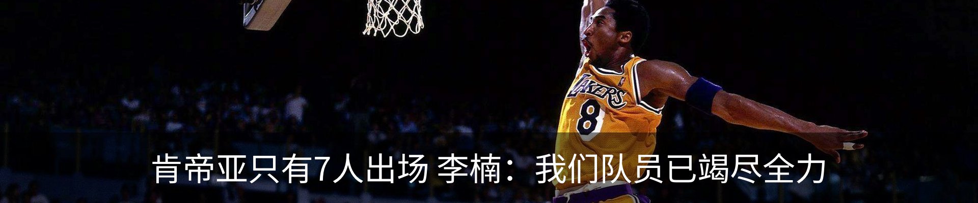 新闻动态