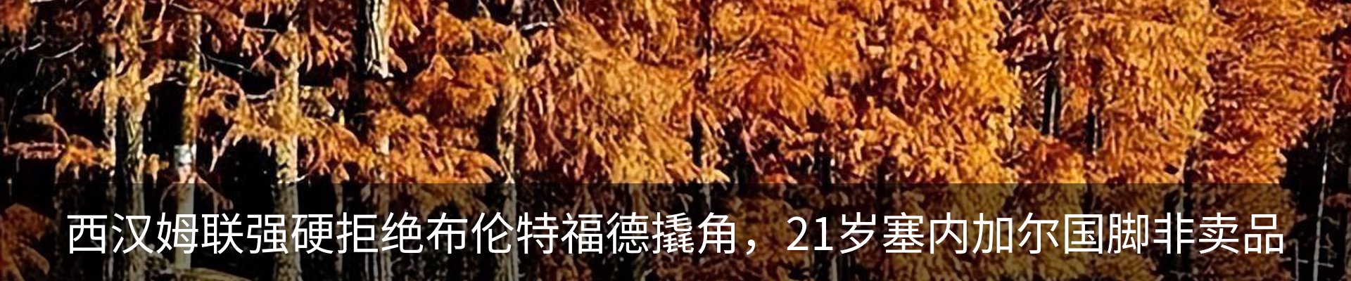 新闻动态